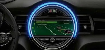 The MINI Active Driving Assistant.