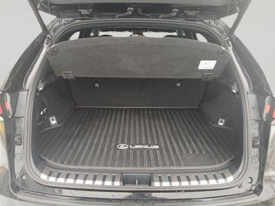 2020 Lexus NX 300 NX 300 F SPORT