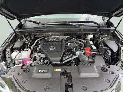 2025 Lexus NX 350 AWD