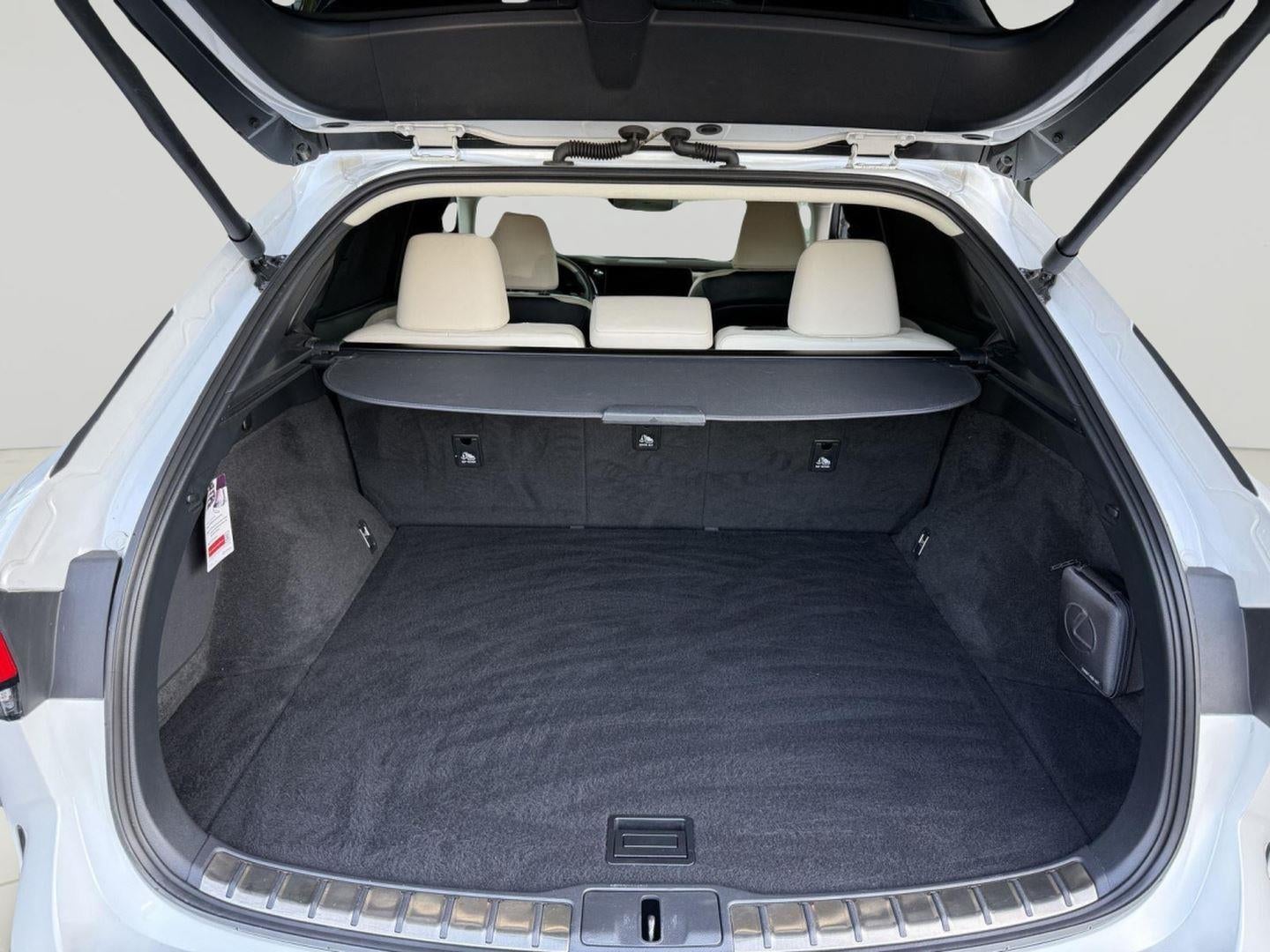2023 Lexus RX LUXURY
