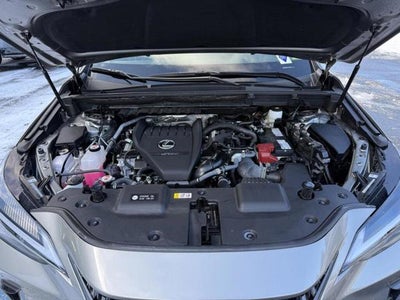 2025 Lexus NX 350 PREMIUM