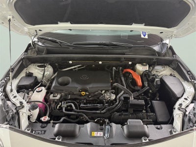 2023 Toyota Venza XLE