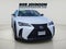 2019 Lexus UX 250h