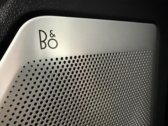 2025 Ford F-250 Platinum