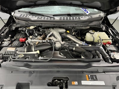 2025 Ford Super Duty F-250 Platinum